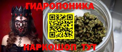 ALPHA-PVP Можга