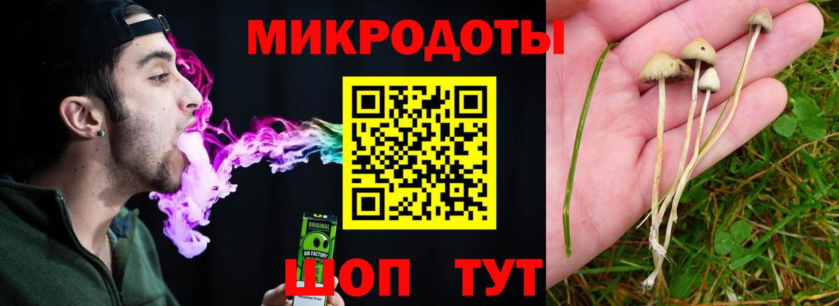 Псилоцибиновые грибы мухоморы  Галлюциногенные грибы ЛСД  Вход с VPN  где купить   Тамбов 