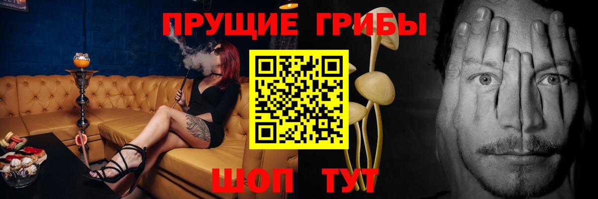 Псилоцибиновые грибы Psilocybine cubensis Тамбов