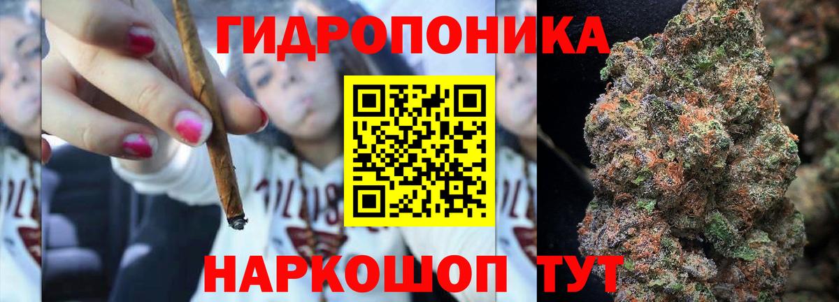 Канабис конопля Тамбов